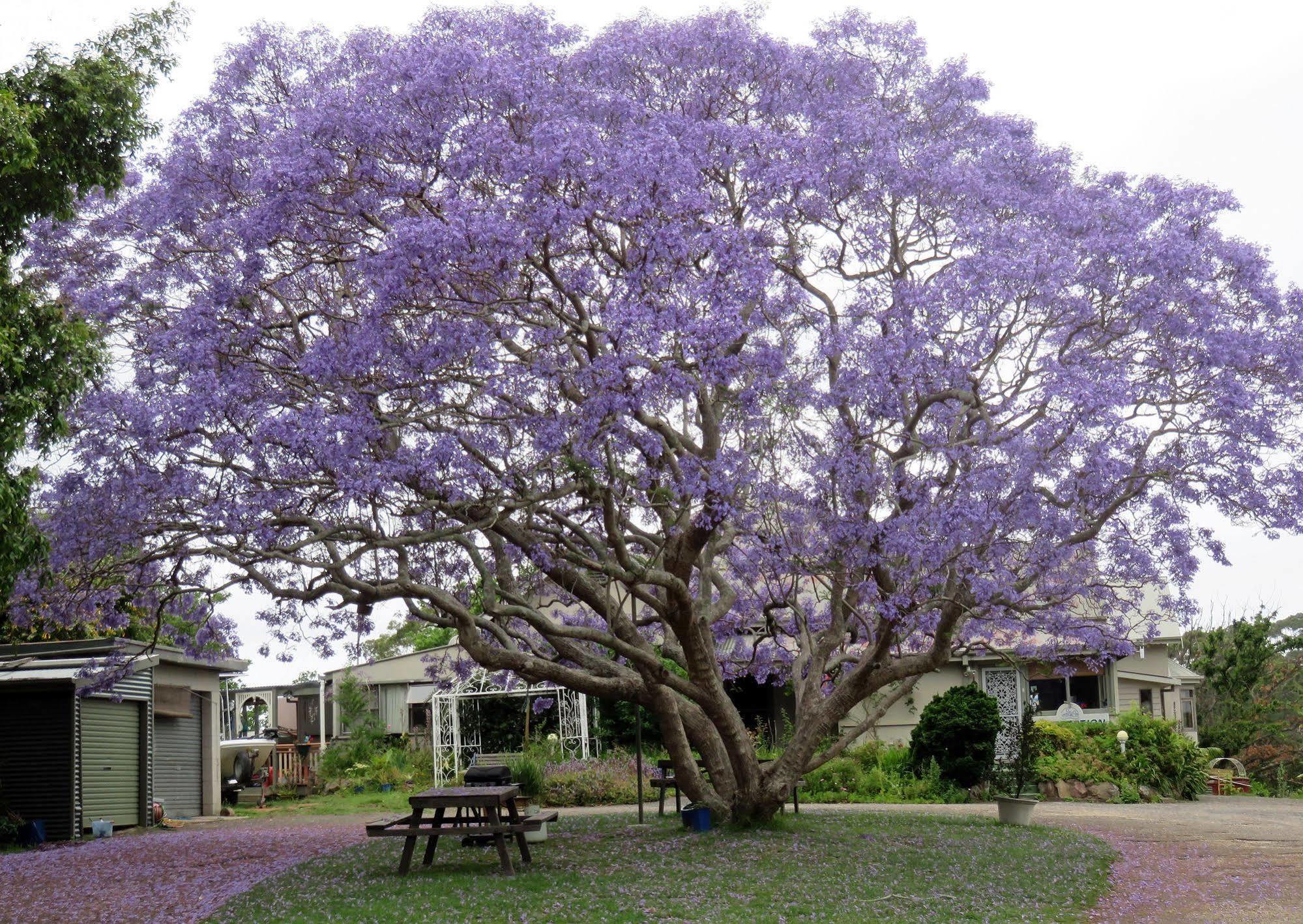 Ecotel Narooma South Coast Exterior foto