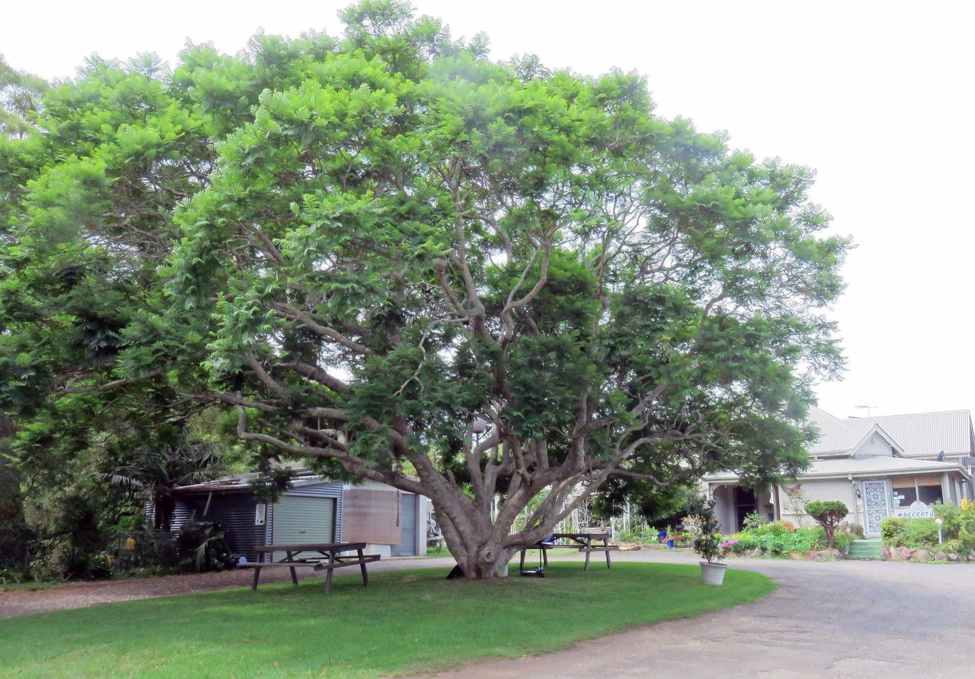 Ecotel Narooma South Coast Exterior foto