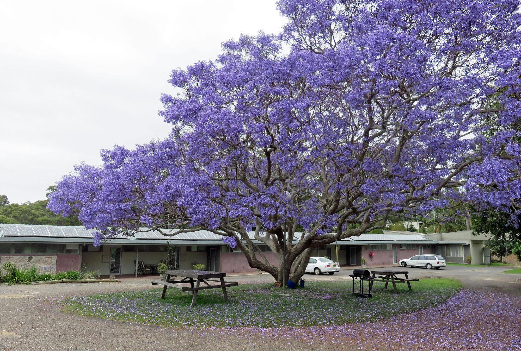 Ecotel Narooma South Coast Exterior foto